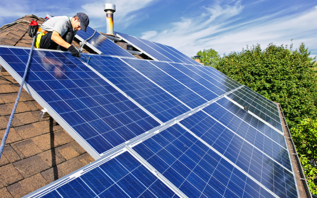 Ex-Dairy Farm Reintroduced As Solar Energy Site In Norwich