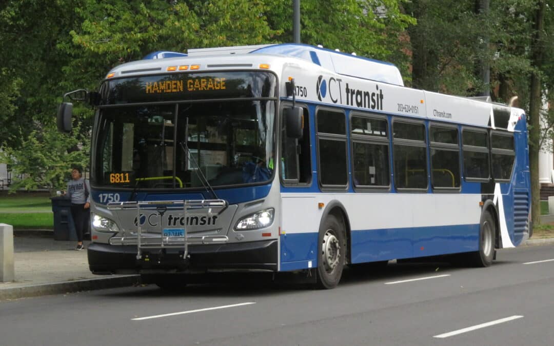 Free Weekend Bus Service Planned for Summer