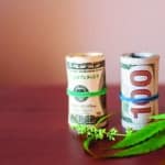 Local Lenders Likely to Find Opportunities in Marijuana